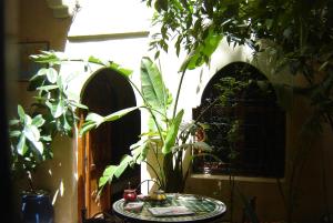 Kebun di luar Riad Hôtel Belleville Marrakech