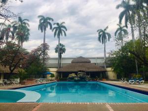 een zwembad met palmbomen op de achtergrond bij Hotel Valles in Ciudad Valles