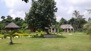 ein Haus mit einem Baum in der Mitte eines Gartens in der Unterkunft Alofa Beach Bungalows in Insel Tanna