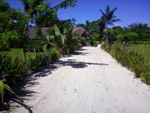 eine unbefestigte Straße, die zu einem Strand mit Palmen führt in der Unterkunft Alofa Beach Bungalows in Insel Tanna