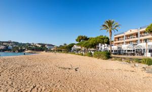 einen Sandstrand mit einem Gebäude und einer Palme in der Unterkunft Hotel Restaurant Sant Pol in Sant Feliu de Guixols