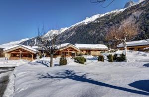 夏蒙尼-勃朗峰Chalets Ile des Barrats的山地雪地小屋