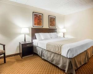 Posteľ alebo postele v izbe v ubytovaní Econo Lodge Inn & Suites Shamokin Dam - Selinsgrove