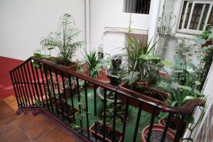 Un jardín fuera de Central Station Hostel Barcelona