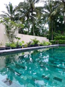 Kolam renang di atau di dekat Omah SunFlower