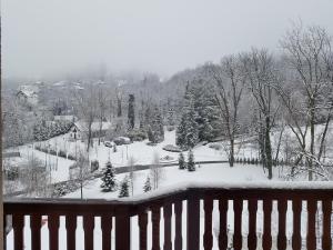 a snow covered view of a garden in a yard at Hotel Esprit in Braşov