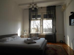 1 dormitorio con cama y ventana grande en Dunavski Park, en Novi Sad