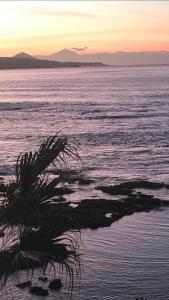 um pôr do sol sobre o oceano com uma palmeira na água em Vista Teide 305-306 em Las Palmas de Gran Canárias