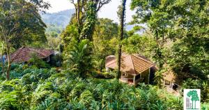 un'immagine di una casa nella foresta di The Tall Trees a Munnar