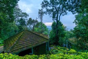 una casa con tetto piastrellato in una foresta di The Tall Trees a Munnar