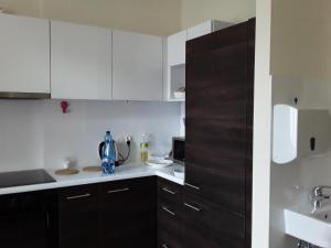 A kitchen or kitchenette at Hostel ALEX&TSA