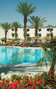 Басейн в Leonardo Privilege Eilat Hotel - All inclusive або поблизу