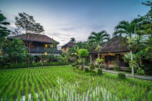 Сад в Bliss Ubud Spa Resort