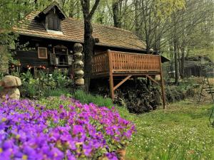 Градина пред Country house with a pool in Medvednica Nature Park