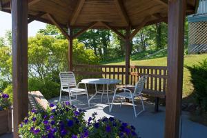 A garden outside The Cove Motel