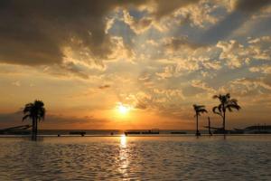 a sunset over a body of water with palm trees at AMAZING BEACH FRONT - ACQUA NUEVO VALLARTA - MX in Nuevo Vallarta 