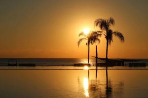 two palm trees on a beach with a sunset at AMAZING BEACH FRONT - ACQUA NUEVO VALLARTA - MX in Nuevo Vallarta 