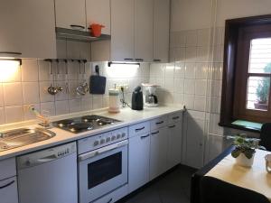 Kuchyň nebo kuchyňský kout v ubytování Apartmaji Sušnik