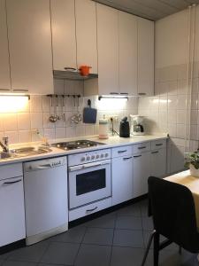 Kuchyň nebo kuchyňský kout v ubytování Apartmaji Sušnik