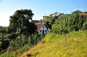 Fotografija v galeriji nastanitve Casa Típica de Santana – Casa do Avô v Santani