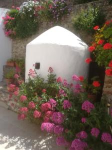 een bloementuin met roze en paarse bloemen bij Casa Luar in Odeceixe