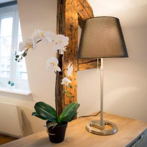 een lamp op een bureau naast een plant bij Appartement Cocoon Hypercentre in Straatsburg