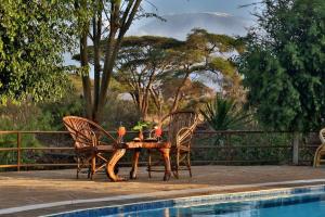 Swimming pool sa o malapit sa Kibo Safari Camp