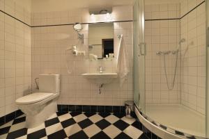 a bathroom with a toilet and a sink and a shower at Hotel Podhrad in Hluboká nad Vltavou