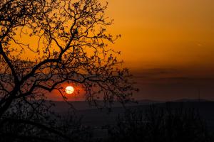 un coucher de soleil avec un arbre au premier plan dans l'établissement Casa City View, à Sibiu