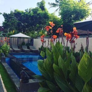 uma piscina num jardim com um ramo de flores em Lembongan Small Heaven Bungalow em Nusa Lembongan