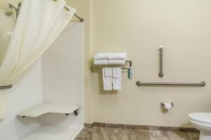 Bany a Cobblestone Hotel & Suites - Charlestown