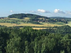 een luchtzicht op de glooiende heuvels en bomen bij Ferienwohnung Tina in Pirna