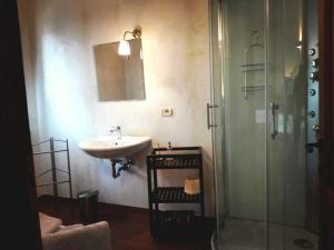 y baño con lavabo y ducha. en Casa della Fornace, en San Vito al Torre