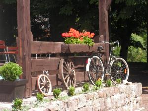 Jardin de l'établissement Hotel Sternen