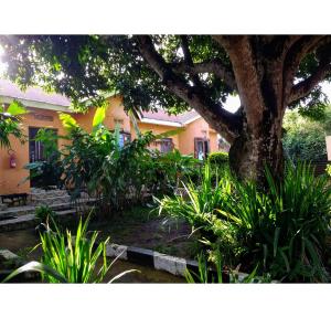 Um jardim no exterior de Gorilla African Guest House