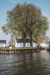 un árbol frente a una casa en el agua en Inselresort Wilhelmstein, en Steinhude