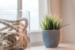 Un jarrón con plantas al lado de una ventana en Inselresort Wilhelmstein, en Steinhude