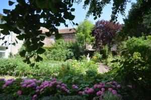 un giardino con fiori colorati e un edificio di Chambre d'hôtes à TOUL centre ville avec parking privé a Toul