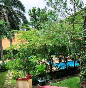 Blick auf einen Garten mit Pool und Bäumen in der Unterkunft Résidence Bertille Abidjan Cocody in Abidjan