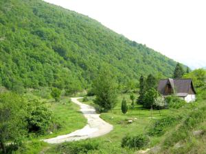 een kronkelende weg door een berg met een huis bij Villa ORKA Pelister - Forest Zone in Bitola