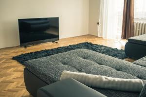 TV i/ili multimedijalni sistem u objektu Apartman JnJ Velkomoravska