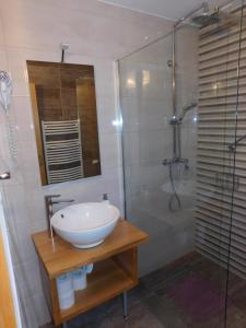 ein Bad mit einem Waschbecken und einer Dusche in der Unterkunft Guesthouse Sara in Grabovac