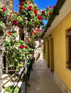 een tuin met rode rozen op een gebouw bij Guest House Torci 18 in Novigrad Istria