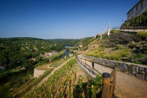 uma vista para um rio a partir de uma colina em Hotel Lahofer em Znojmo