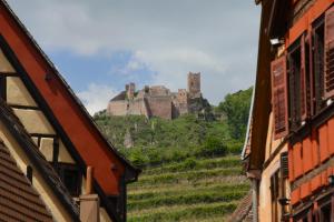 Φωτογραφία από το άλμπουμ του RIBEAUVILLE city center - Gîte des Ménétriers, LE RIESLING - σε Ribeauvillé