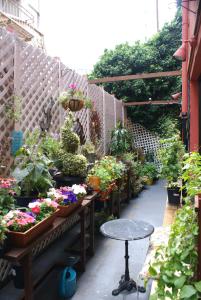 einen Garten mit Topfpflanzen, einem Tisch und einem Zaun in der Unterkunft Adelaide Hostel in San Francisco