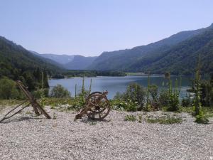 una vecchia ruota seduta sul lato di un lago di Landhaus Seereith a Faistenau