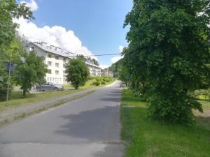 uma rua vazia com uma árvore no lado da estrada em Mieszkanie Solina em Solina