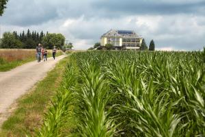 rodzina idąca ścieżką przez pole kukurydzy w obiekcie Hotel Perekop w mieście Berdorf