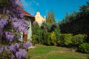 A garden outside Hotel Szent István